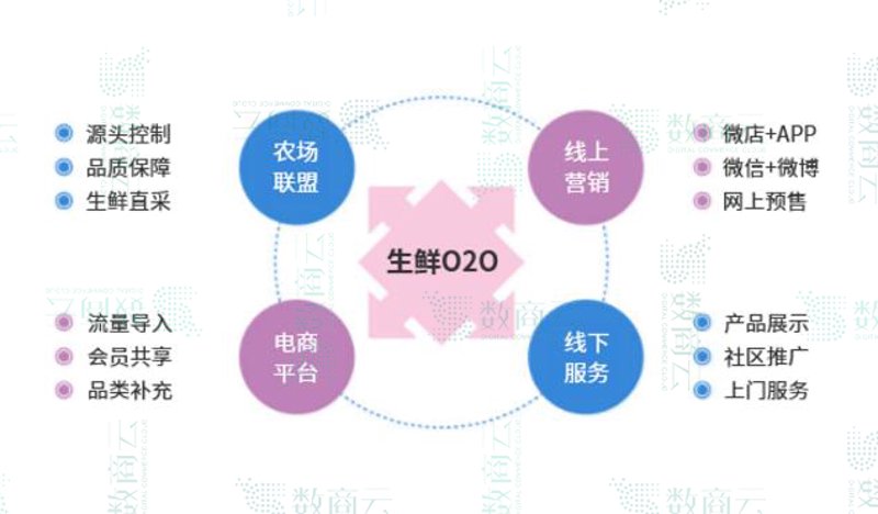 生鲜电商平台：电商新风向